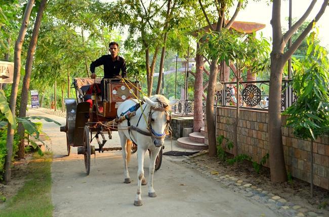 Kangs Nirvana Resorts And Spa Mahalpur エクステリア 写真